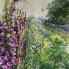 Picture of Foxgloves