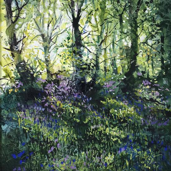 Picture of Bluebells