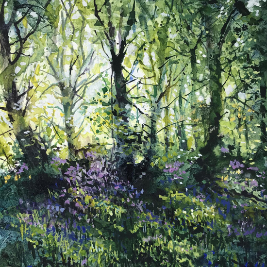 Picture of Bluebells